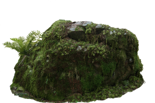 Great mossy stone - PNG - free use