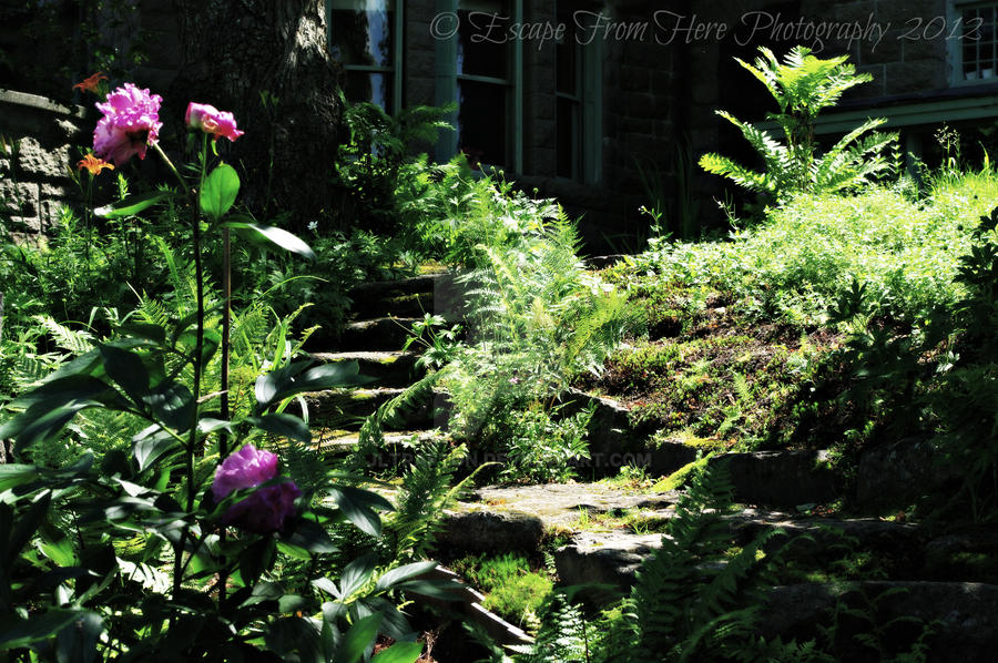 Enchanted Stairway