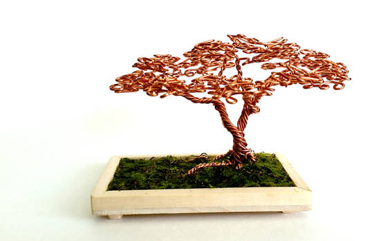 Copper Wire Desktop Bonsai Tree.