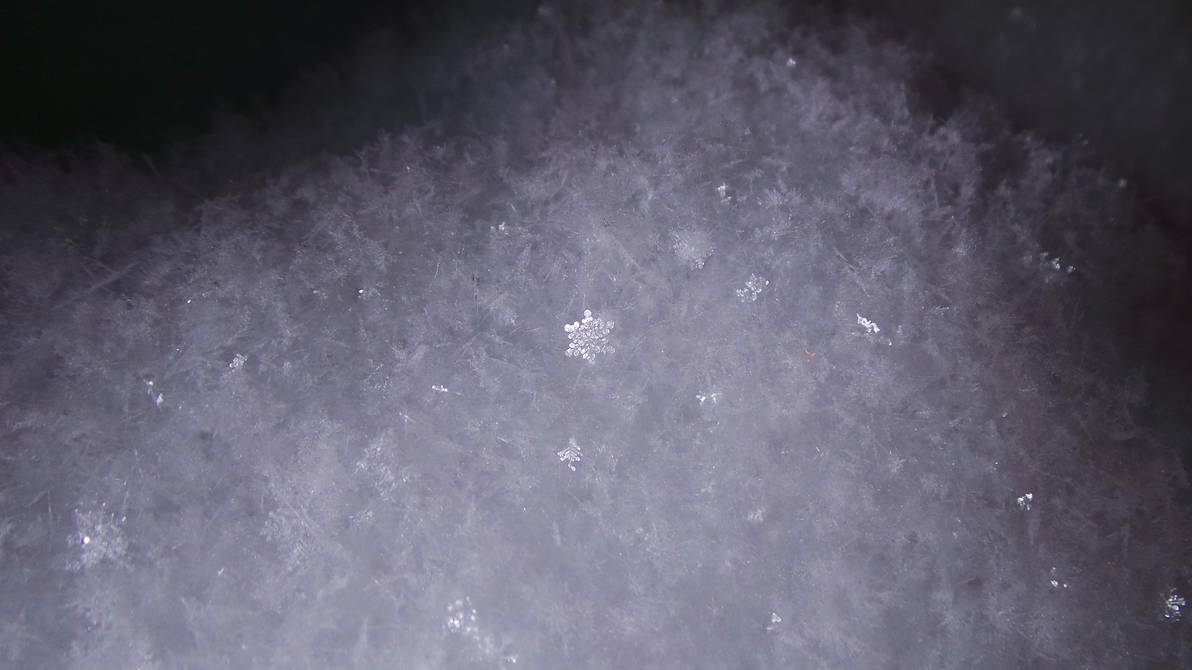 unique snowflake in a bunch of freshly fallen snow