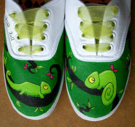 Chameleon Shoes