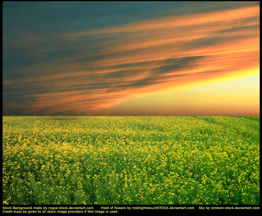 Background Stock No.1 UPDATED by Rogue-Stock on DeviantArt