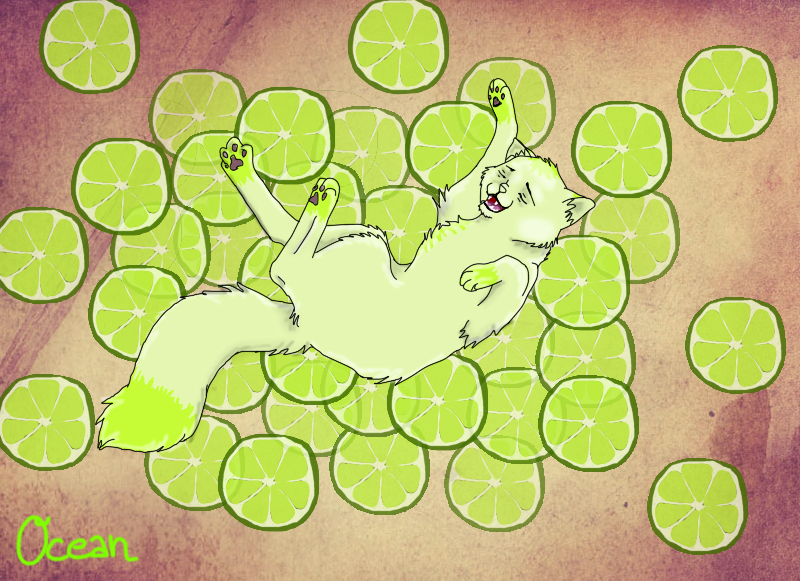 Paradise of Lime