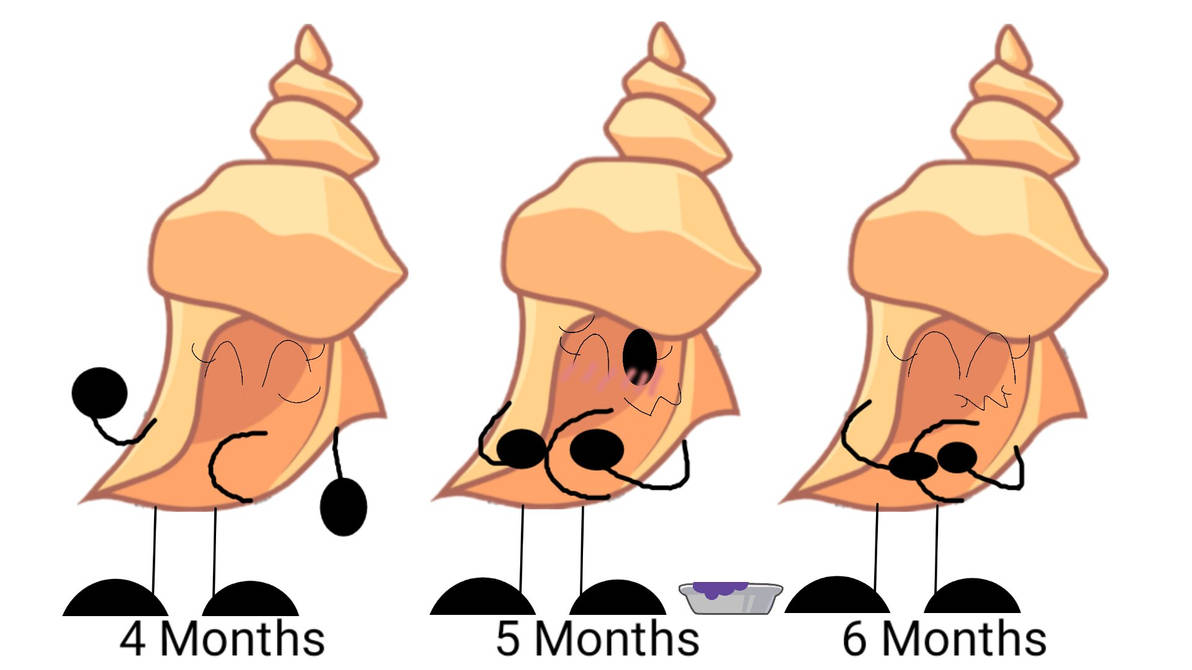 TPOT: Conch Shell's Pregnancy 2/4 by LtacNauttpDeviantart on DeviantArt