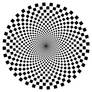 Squares array