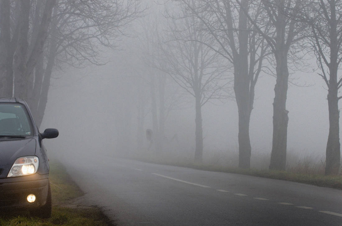 Фары в тумане. Густой туман машины. Осторожно туман на дороге. Туман на дороге водитель. Плохо видимый в тумане