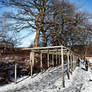 Snow landscape in DK