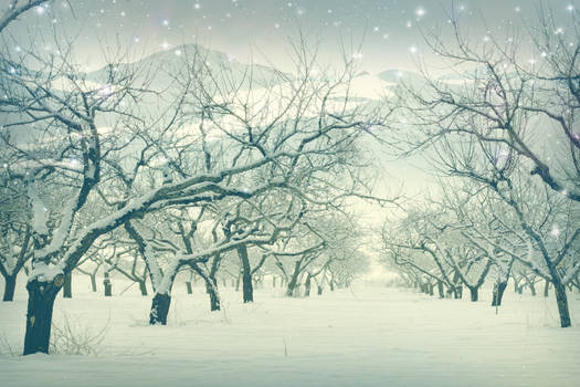 winter dreamscape