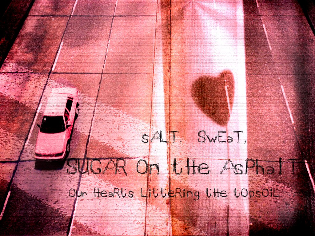 .sugar.on.the.asphalt.