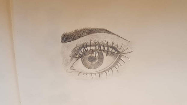 Eye sketch
