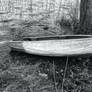 Boat on shore