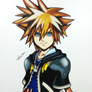 Sora (Kingdom hearts)