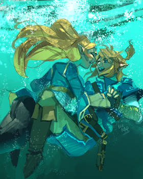 Zelink