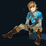 Link just Chillin