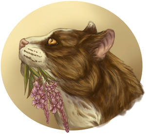 Spottedleaf Warrior Cats Headshot