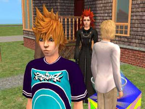 Axel and Roxas Sims