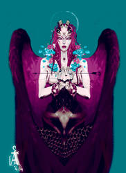 Isadora : Angel