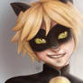 Chat Noir