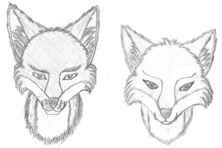 Fox couples' portrait