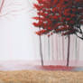 MISTY RED TREE FOREST