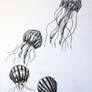 HOT AIR JELLYFISH