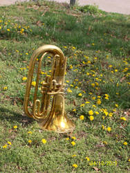 my baritone