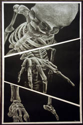 Skeletal Perspectives