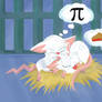 Pinky and the Brain What is Pi?