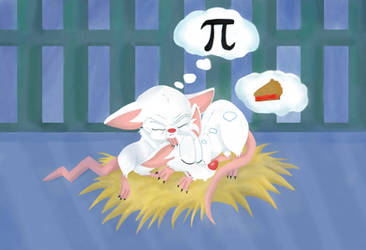 Pinky and the Brain What is Pi?