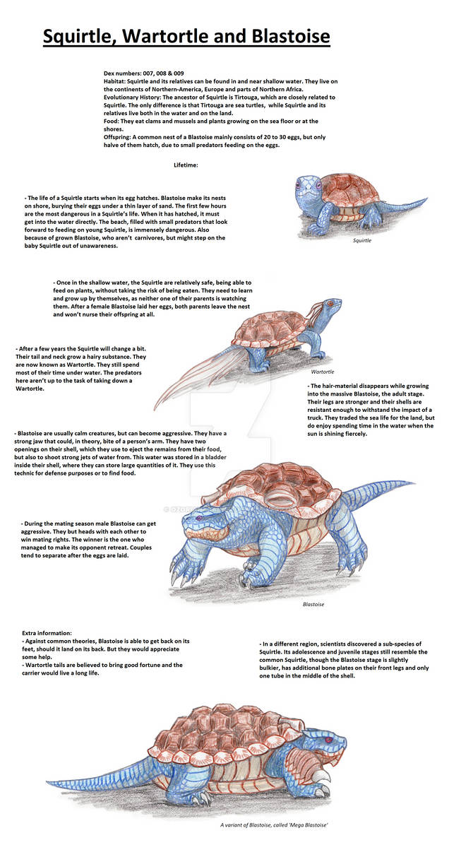Realistic Pokedex. Entries 007, 008, 009 by OzorianTrainer on DeviantArt