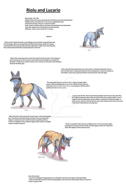 Real Life Riolu Realistic Riolu