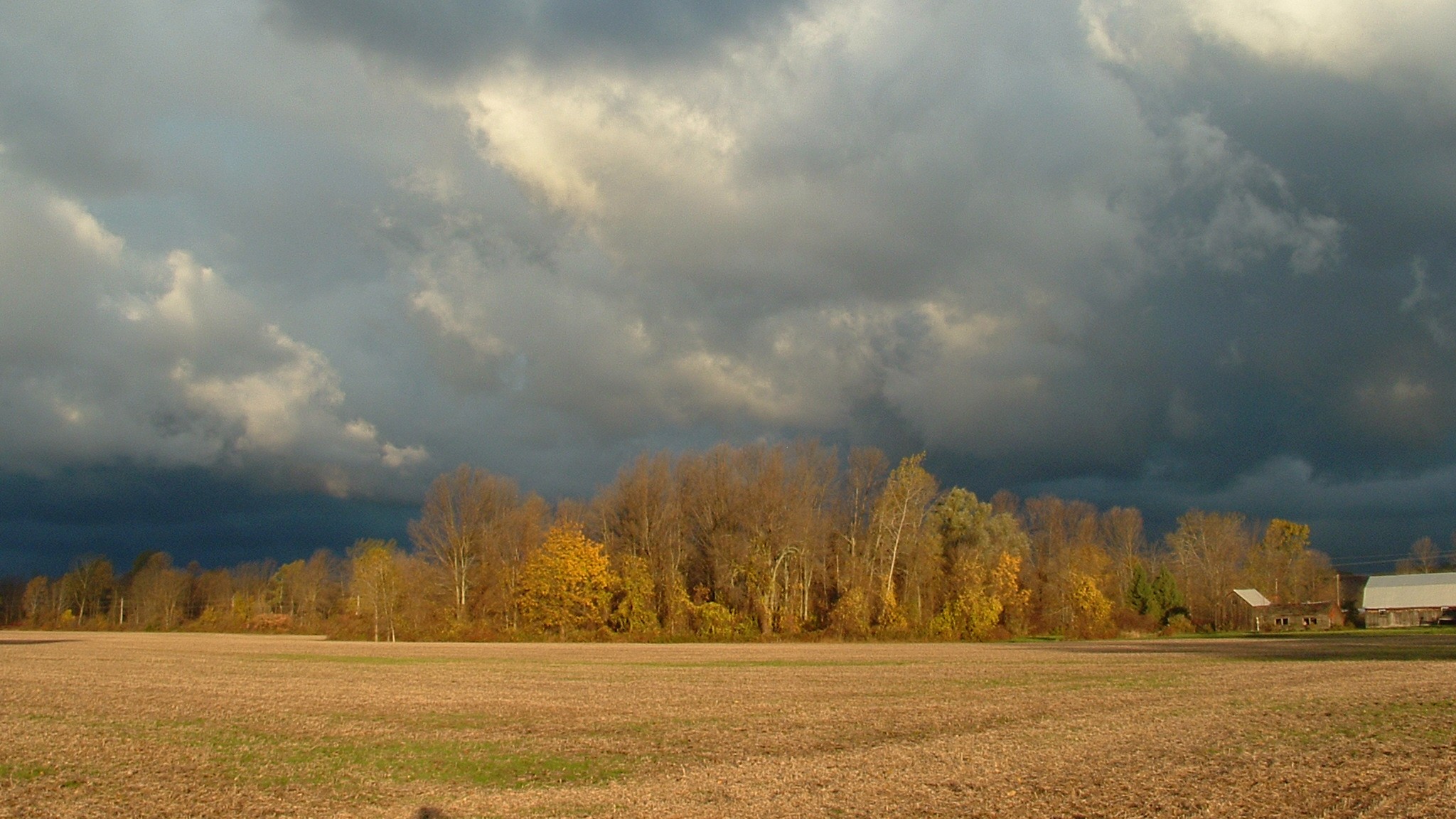 Autumn Contrasts