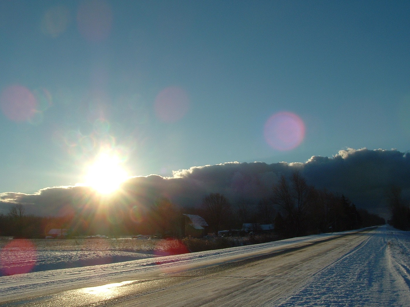 Winter Glories