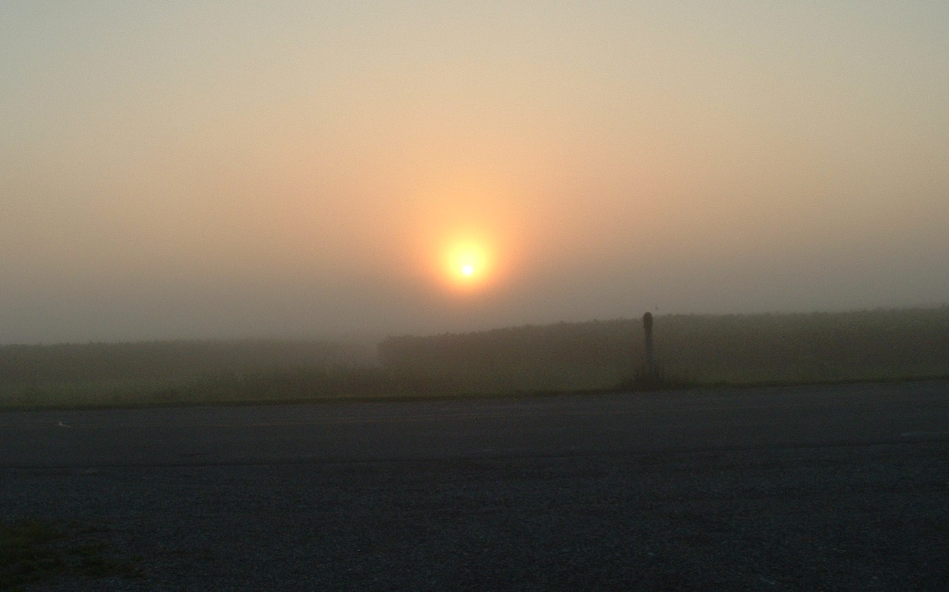 A Beacon in the Fog