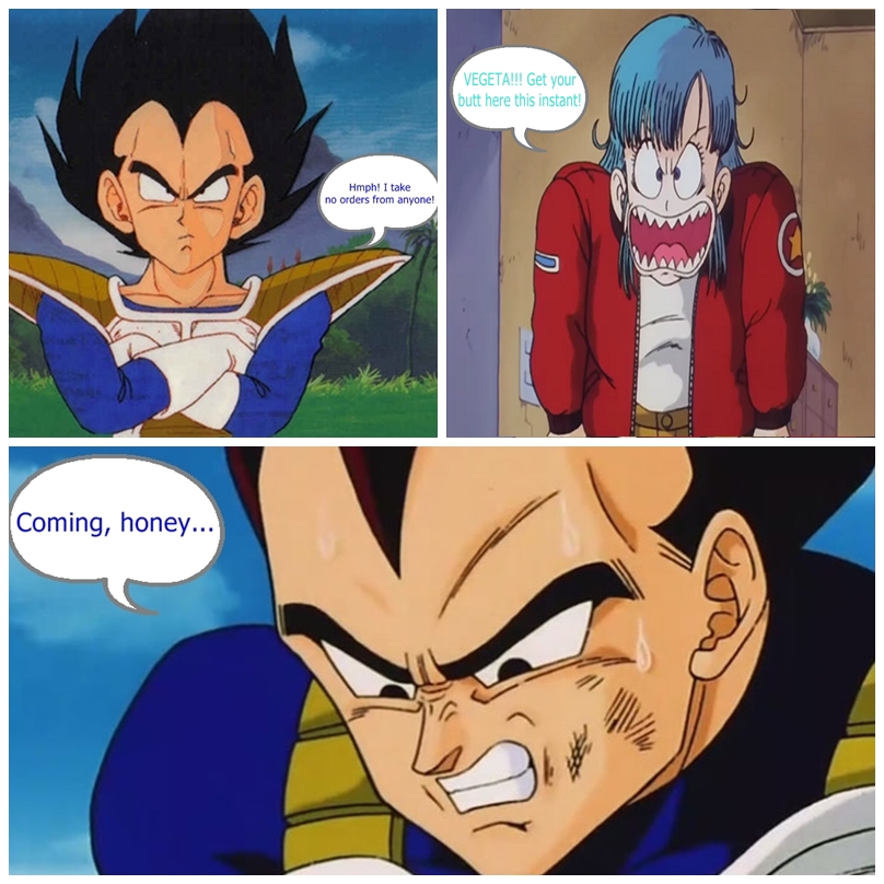 DBZ FUNNY COMIC SERIES - Vegeta Met His Match