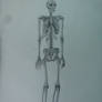 Skeleton Drawing