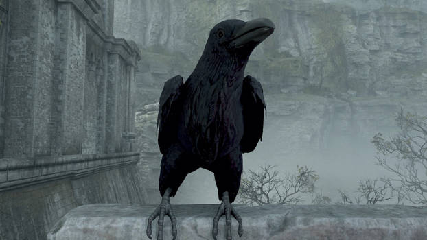Demon's souls Crow