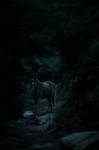 The Soul's Path by Deltapotamus