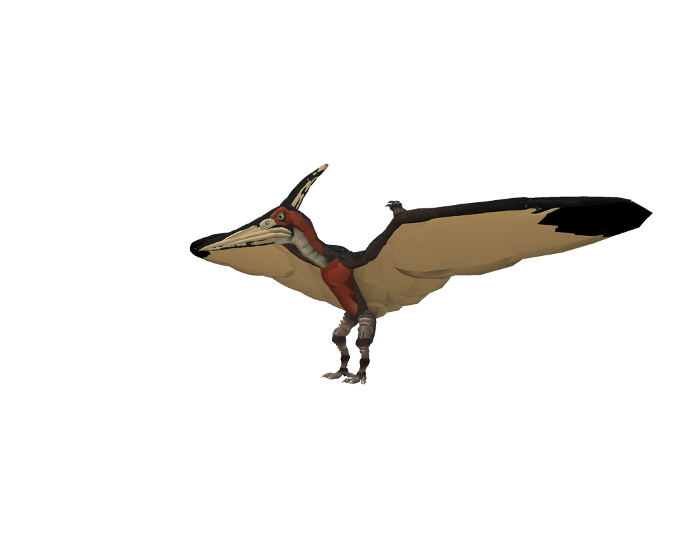 Pteranodon JP3 By Darckjack222 On DeviantArt pteranodon-jp3-by-darckjack222-on-deviantart
