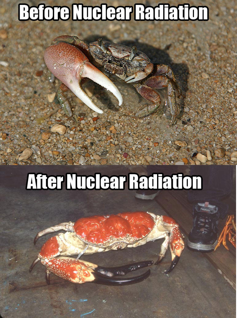 Crapp Meme Crab Meme by CoolislandSong on DeviantArt