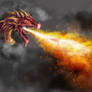 Dragon Fire