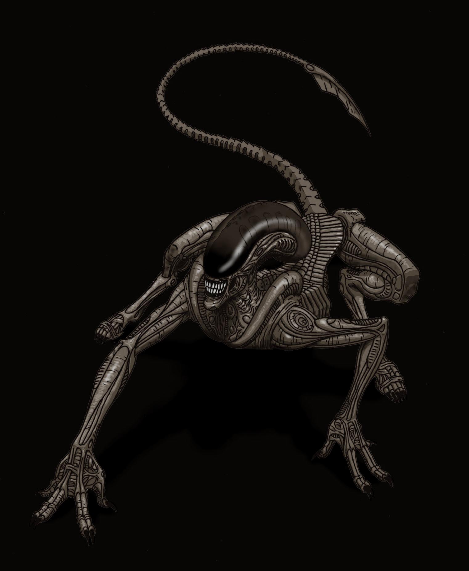 Xenomorph