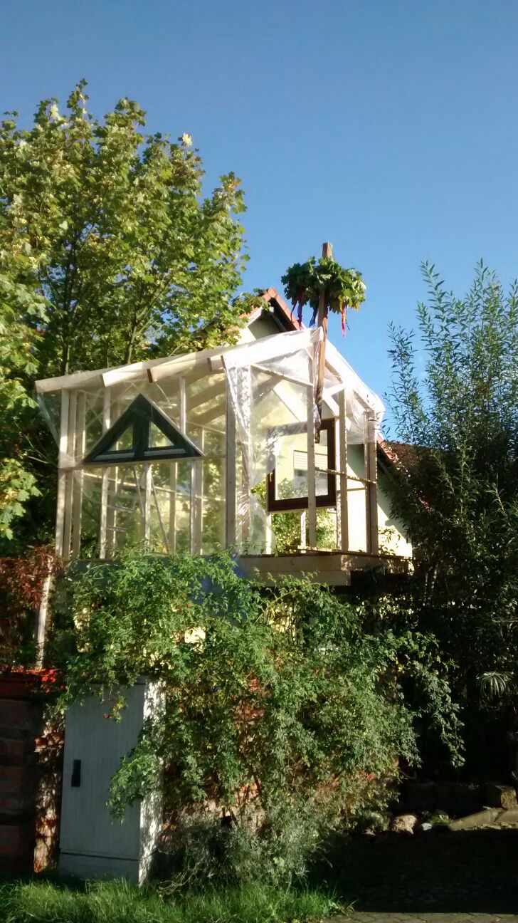 treehouse in progress