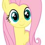 Request - Fluttershy 20