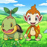 Turtwig, Chimchar, and Piplup (Anime Style)