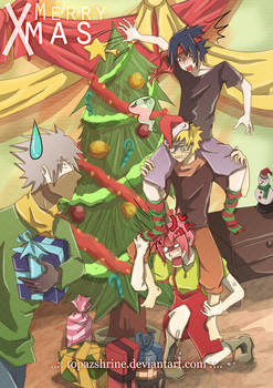Team 7 - The Natural Christmas Ladder
