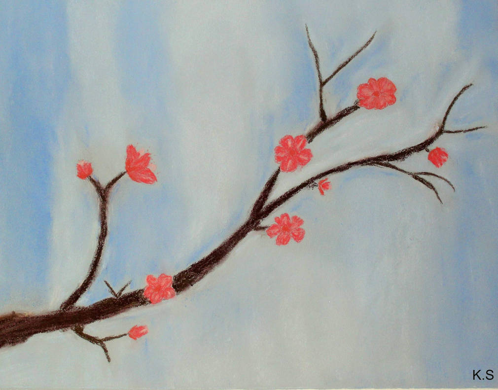 Cherry Blossom Branch