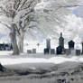 Church Yard IR