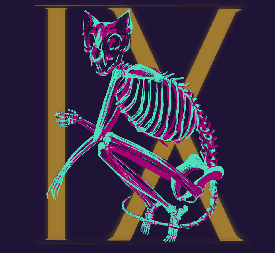 Skeleton Cat by wiktorija133 on DeviantArt