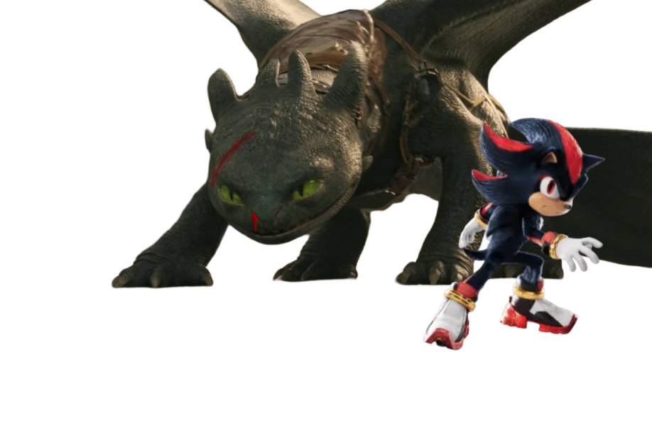 Toothless and shadow the hedgehog fight pose by MdhFilm27 on DeviantArt